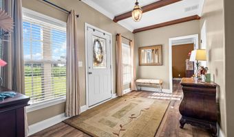 264 Ford Ave, Albertville, AL 35951