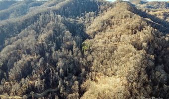 NC 209 Highway, Aurora, NC 28743
