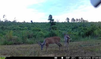 00 Ebenzer Church Rd, Bassfield, MS 39421