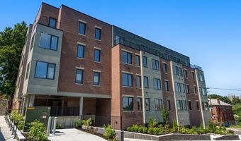249 Corey Road 301, Boston, MA 02135