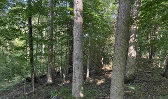 140 Ac Off Eastlake Dr, Bedford, IN 47421