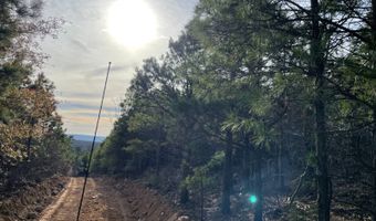 Tract 5 K-Trail, Albion, OK 74571