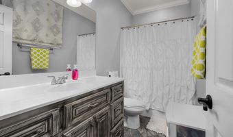 1269 LITTLE DISMAL Rd, Arley, AL 35541