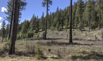 Nhn Mountain Vista Lane, Alberton, MT 59820
