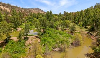 19424 Blue River Rd, Blue, AZ 85922