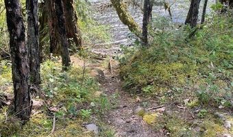 54785 McKenzie River Dr, Blue River, OR 97413