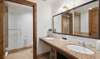 415 E Dean St. Unit 31 Week 11, Aspen, CO 81611