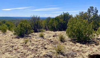 74 County Road 8056, Concho, AZ 85924
