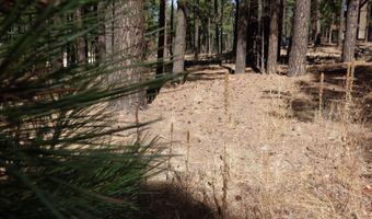 8 B County Road 2267 Escudilla Rd, Alpine, AZ 85920