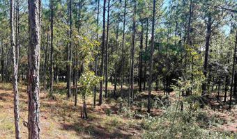 0 State Highway 225, Bay Minette, AL 36507