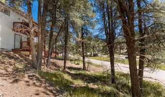 630 Forest Lakes Dr, Bayfield, CO 81122