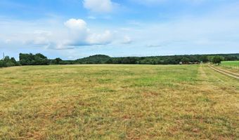 Tract 5 10.114 Acres Goen Road, Millsap, TX 76066