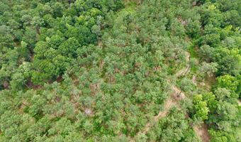 Fox Paw Court, Branchville, SC 29432
