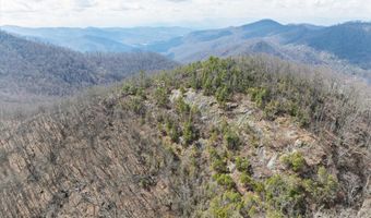 140 Wild Mountain Ln, Barnardsville, NC 28709
