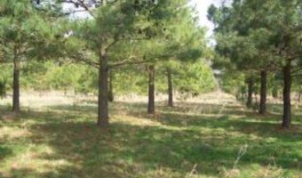 BELLEVUE CIR lot 0, Accomac, VA 23301