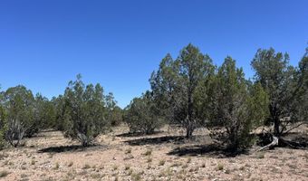 202 Cooks Trl, Ash Fork, AZ 86320