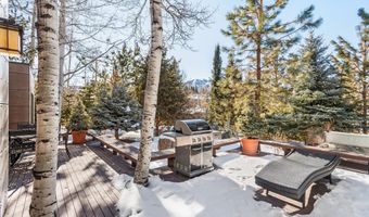 25 Nighthawk Dr, Aspen, CO 81611