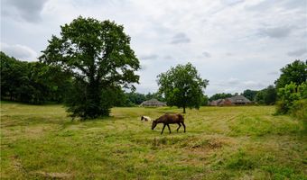 Ozark Acres Drive, Bentonville, AR 72713
