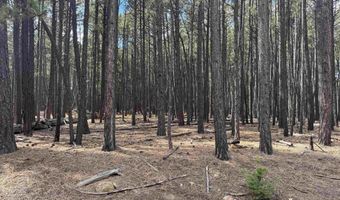 Alamosa Terrace lot 929, Angel Fire, NM 87710