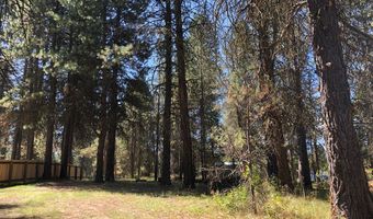 1909 Gold Dust Rd 60, Cascade, ID 83611