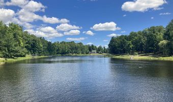 4260 Peters Ln, Alger, MI 48610