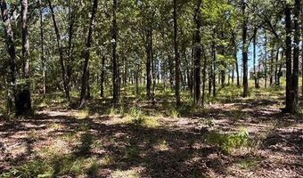 Lot 19 Saddle Creek Ct, Alba, TX 75410