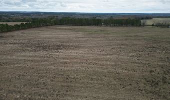 County Road 91, Banks, AL 36005