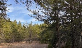 TBD Hwy 21, Babbitt, MN 55706