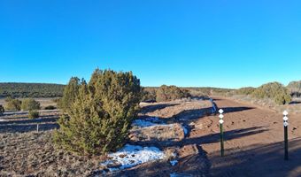286 County Rd, Concho, AZ 85924