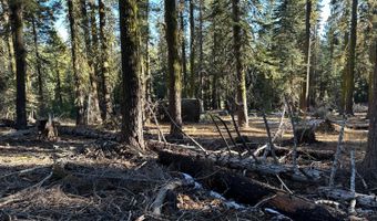 550 Cabbage Patch Log Rd, South Lake Tahoe, CA 95223