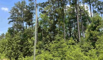 Grand Quiviera Circle, Alford, FL 32420