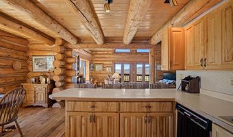 1 Renegade Rd, Almont, CO 81210