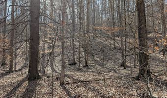 9999 Tip Top Rd, Beattyville, KY 41311