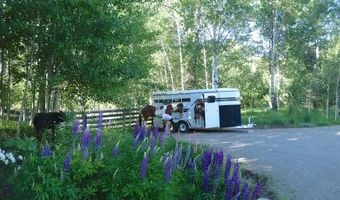 342 Broadford Rd, Bellevue, ID 83313
