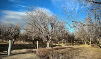 Highway 259, Anthony, NM 88021