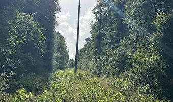 187 Ac Old River Rd, Baker, FL 32531