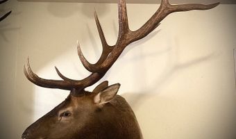 12142 Burns-Izee Rd, Seneca, OR 97873