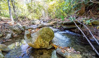 10 Dodd Rd, Barnardsville, NC 28709