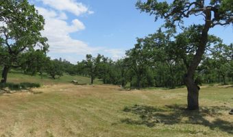 3528 Appaloosa Way, Angels Camp, CA 95222