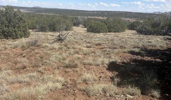 29 B County Road N 8339, Concho, AZ 85924