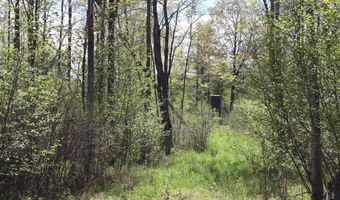 La Grant Road, Alger, MI 48610
