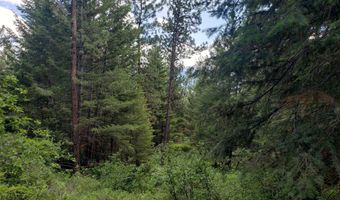 Arlee Pines lot 20, Arlee, MT 59821
