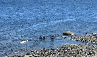 75 Northport Ave, Belfast, ME 04915
