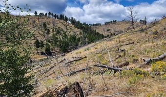 Nhn Plaindealer Lode Depot Hill Road, Boulder, MT 59632