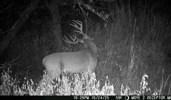 8667 W Hardwood Rd, Atoka, OK 74525