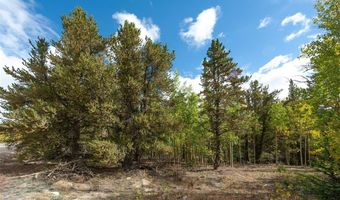 452 QUARTZVILLE Rd, Alma, CO 80420