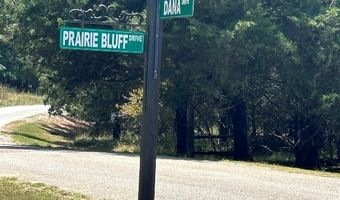 2 Prairie Bluff Dr, Catherine, AL 36728