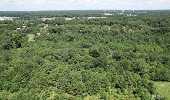 0 Red Hill Rd, Bay Minette, AL 36507
