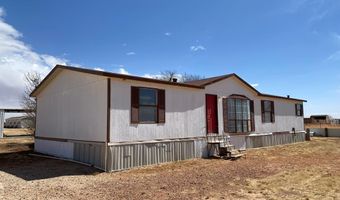 2651 SE 4001, Andrews, TX 79714