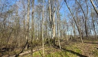 27 Mile Rd, Albion, MI 49224